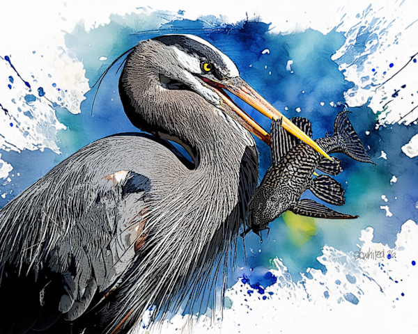 Great Blue Heron After the Catch by David Whited, Image 1.