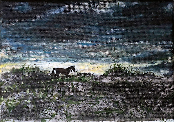 The Soft Courage of First Light by Tashina Marie