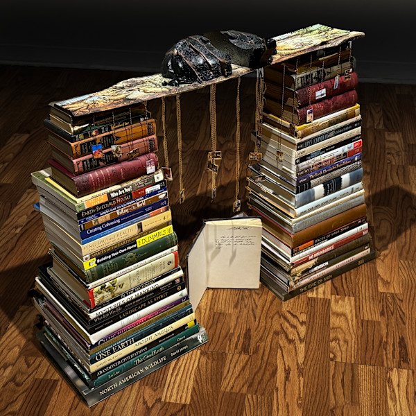 Homeless Near a Thousand Homes I Stood by Tashina Marie