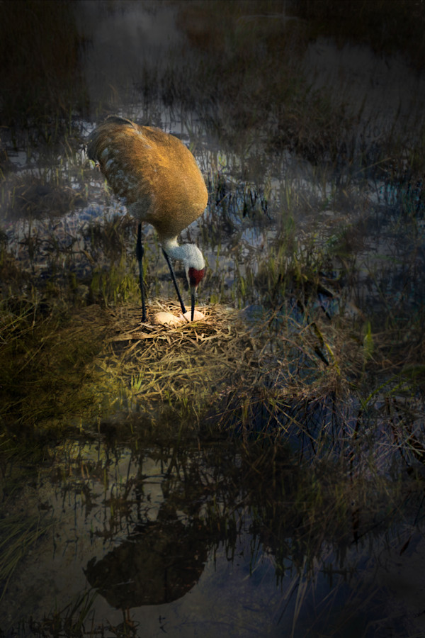 Tending the Unseen by Tashina Marie