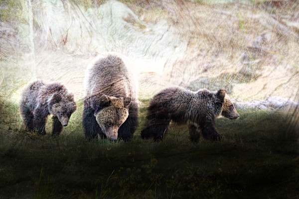 She Who Walks Before by Tashina Marie