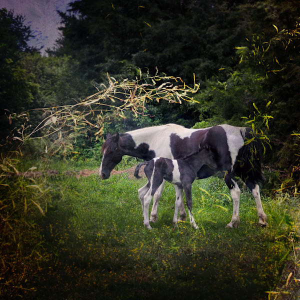 By What Is Given, They Become by Tashina Marie