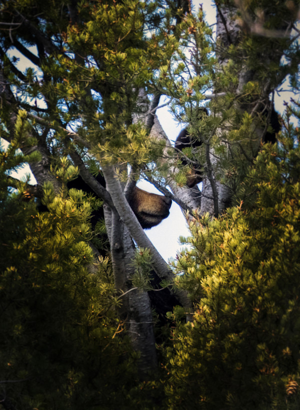 A Future Held by Nurture’s Hand by Tashina Marie