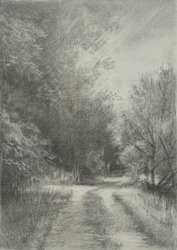 Path through the trees by kelly money, Image 2.