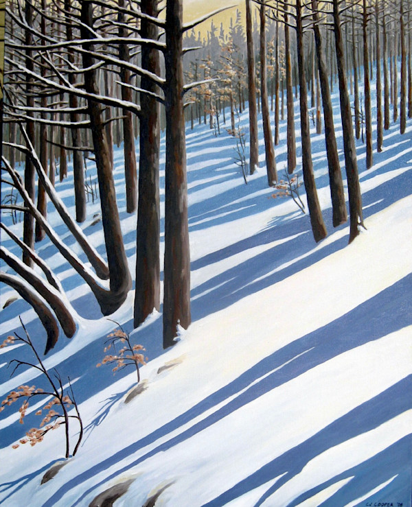 The Path, Bruce Trail by galina cooper