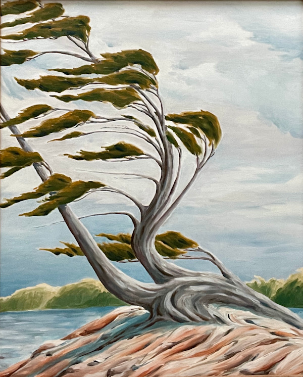 Pine in The Wind by Chris James Cooper