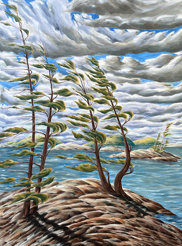 Pines of the Shield by Chris James Cooper