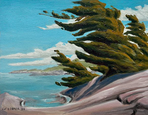 In The Lee of The Wind, Georgian Bay by Chris James Cooper