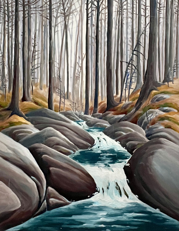 Trees Merging into Granite, Algonquin by Chris James Cooper