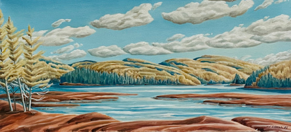 Algonquin Park Shoreline by Chris James Cooper