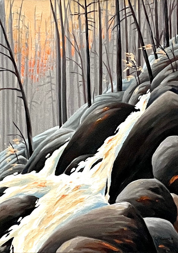 Spring Water: The Cycle of Life by Chris James Cooper