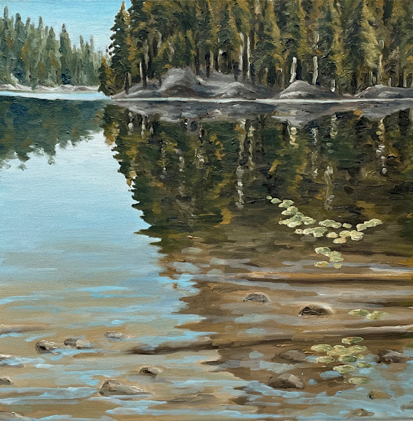 Lake Shore Reflection, Algonquin by Chris James Cooper