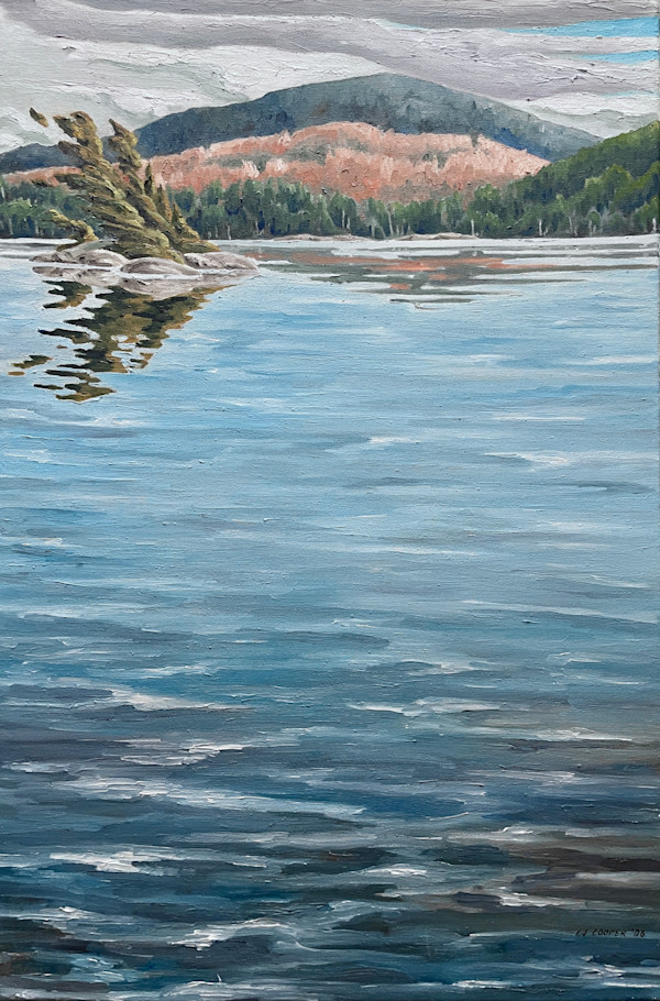 The Long View;  Autumn,  Algonquin North by Chris James Cooper