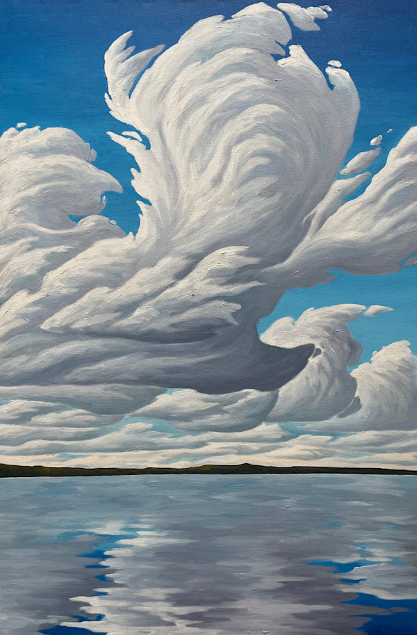 Aerial Leviathan, MacKenzie River by Chris James Cooper