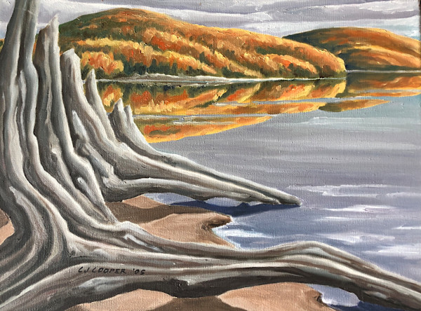 Time Passes, Algonquin by Chris James Cooper