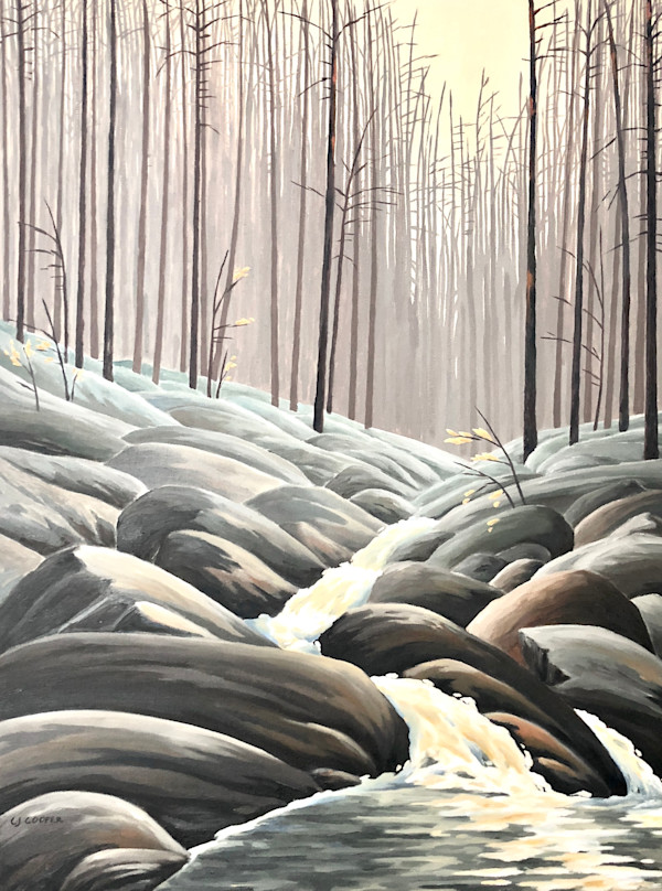 Renewal, Algonquin Park by Chris James Cooper, Image 1.