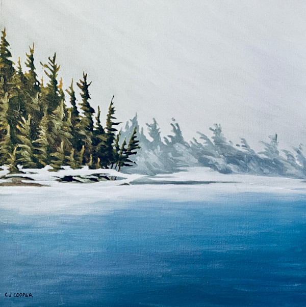 Morning Veil, Joe Lake, Algonquian Park by Chris James Cooper