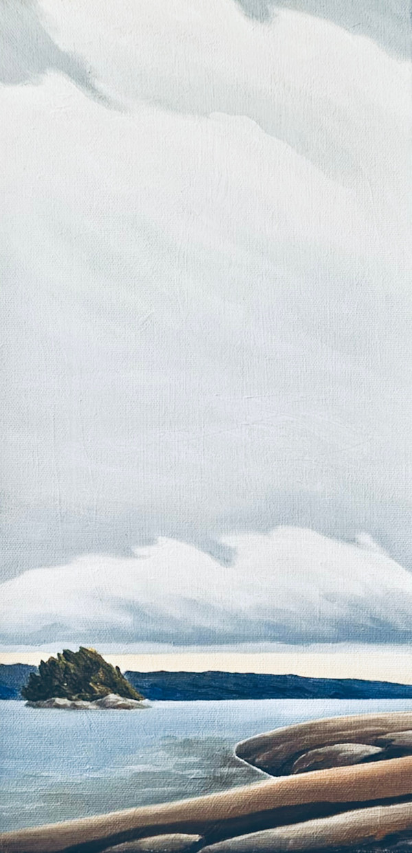 An Island Be Study: 2009. Georgian Bay by Chris James Cooper