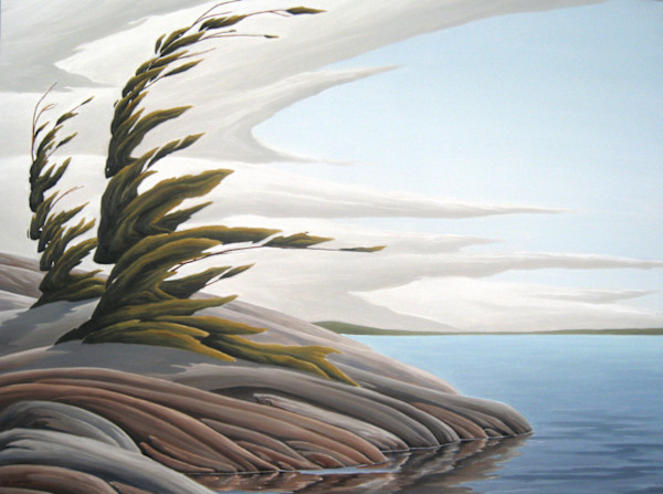 The Grain in The Stone by Chris James Cooper