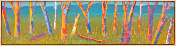 "Color Encounter" by Steven McHugh