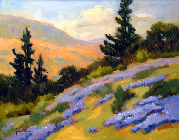 California Slope With Lupine by Susan F Greaves