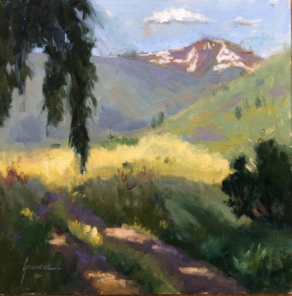 Colorado Shadows by Susan F Greaves