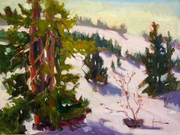 WINTER FIELD      aka Winter Day at Lassen Park by Susan F Greaves