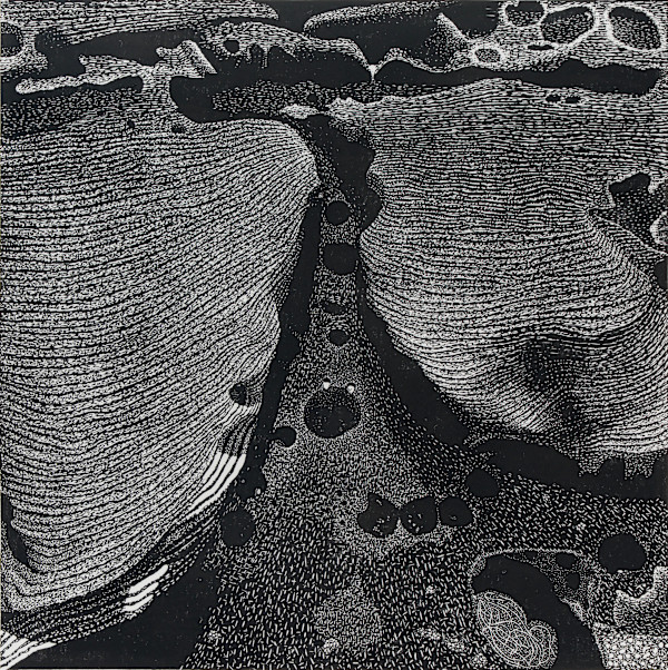 Kissing the Earth by Maggie  Stein, Image 1.