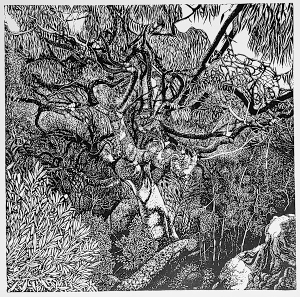 Tangle by Maggie  Stein, Image 1.