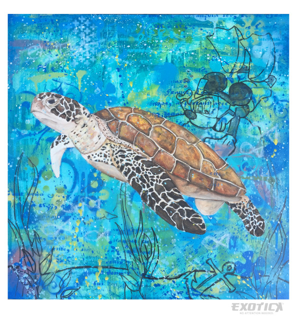 sea turtle by Wasiu Ojuolape Jr.