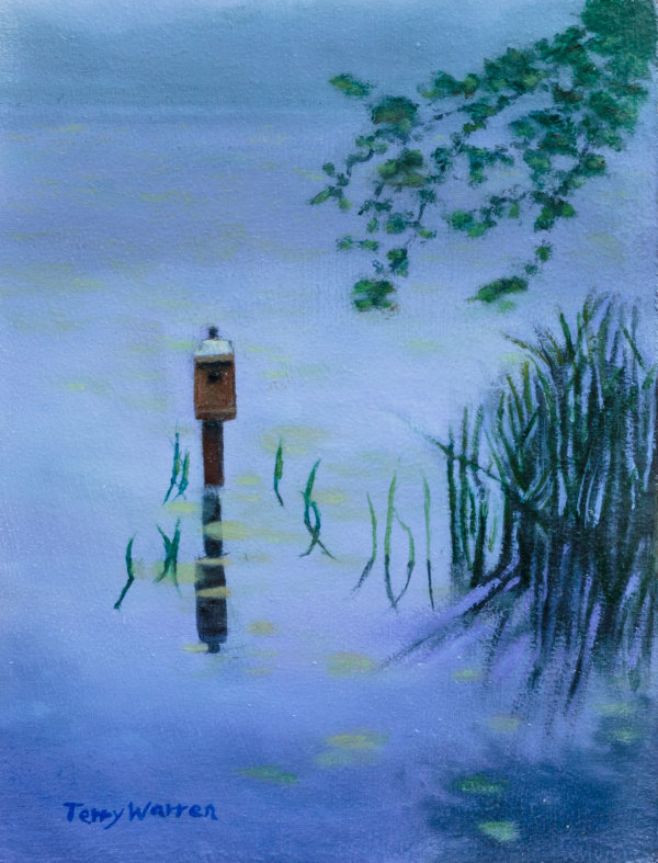 Fog On Pond by Terry Warren
