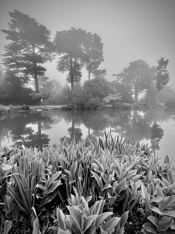 Mist at Stow Lake by Rodney Artiles, Image 2.