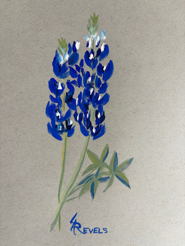 Bluebonnets from Garden by Lauren Revels, Image 1.