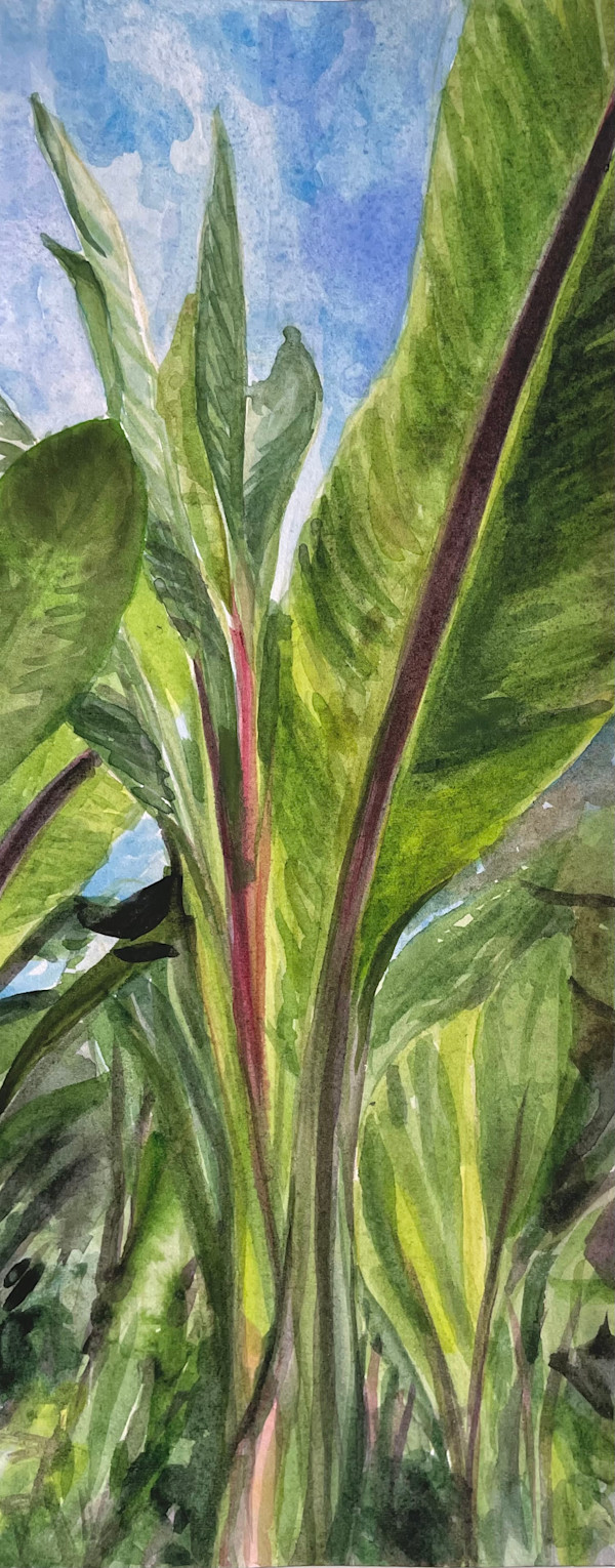 Mexico City Botanical Gardens Green Leaves by Regina Allen, Image 1.