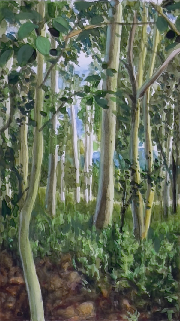 Study for Quaking Apsens, Rocky Mountain National Park by Regina Allen, Image 1.
