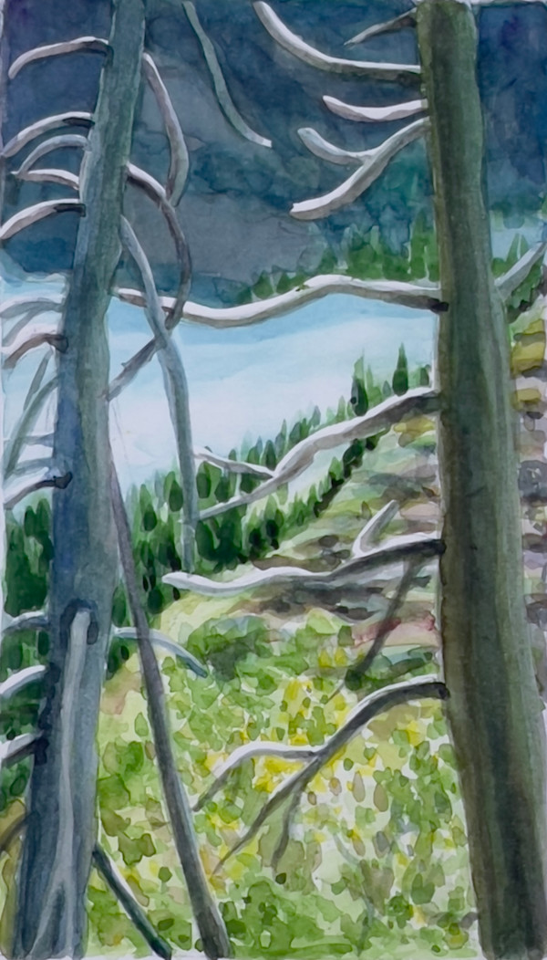 Study for Grinnel Glacier Trail, Glacier National Park by Regina Allen, Image 1.