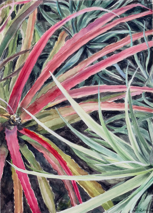 Succulents, Mexico City Botanical Gardens by Regina Allen, Image 1.