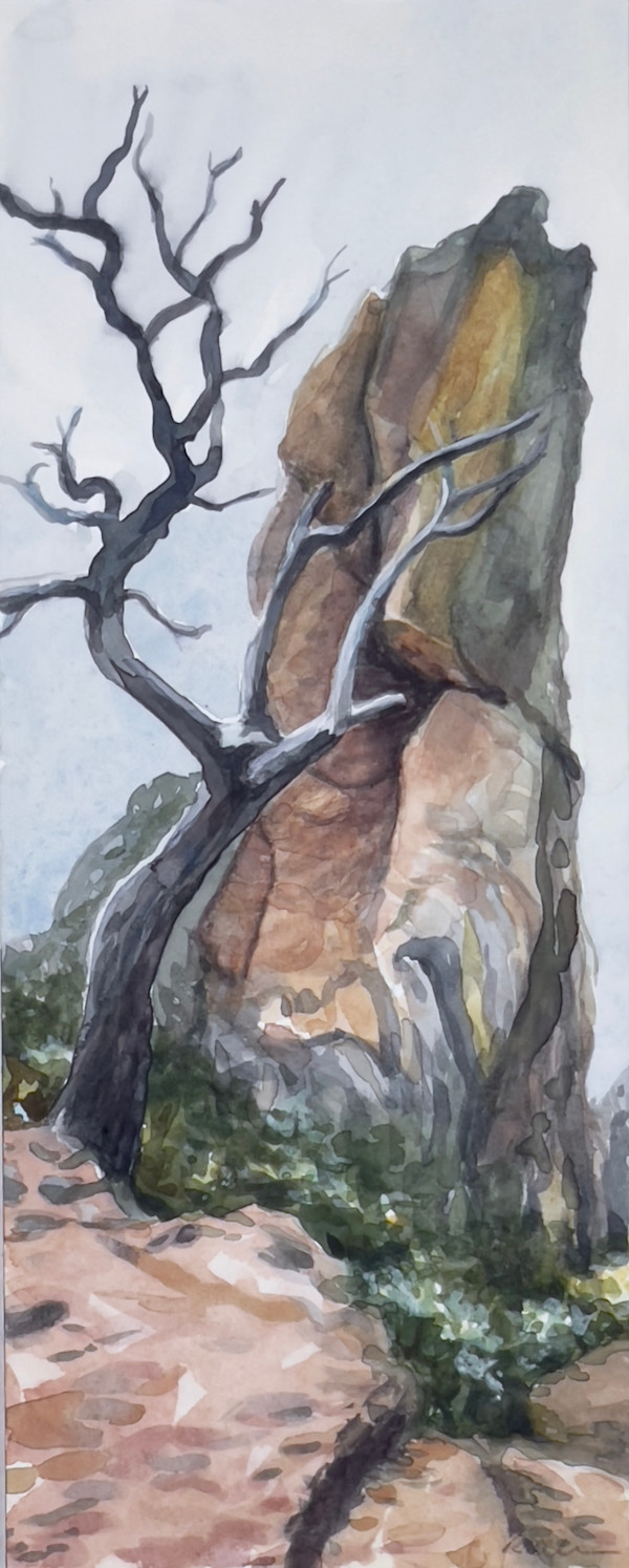 Big Bend, Top of Lost Mine Trail by Regina Allen, Image 1.