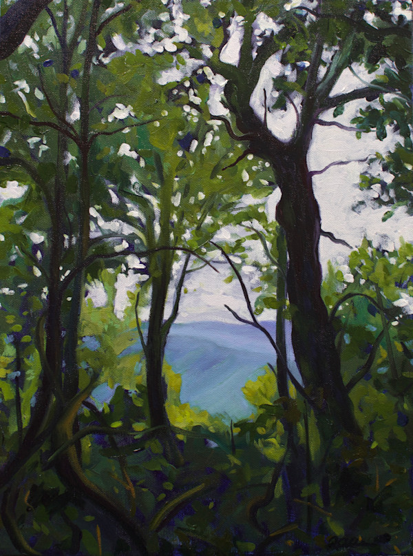 Cataloochee Divide, Great Smoky Mountains by Regina Allen