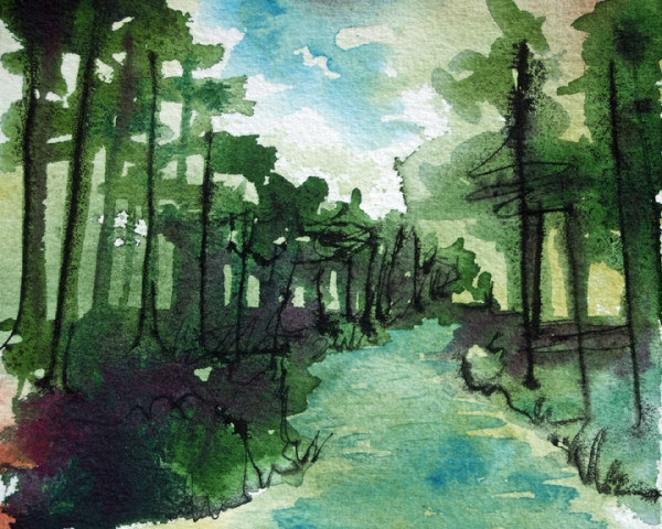 Pine  River Path, 20 of 33 by Helen R Klebesadel