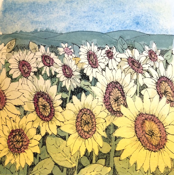 Follow the Sun-Drawing A Day #7 by Helen R Klebesadel