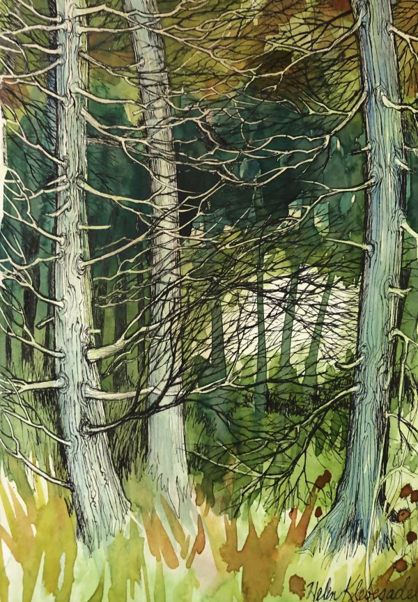 Cedar Path - Drawing A Day #33 by Helen R Klebesadel