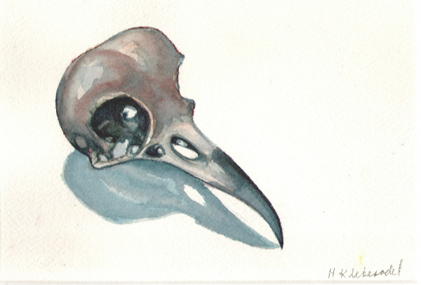 Crow Skull by Helen R Klebesadel