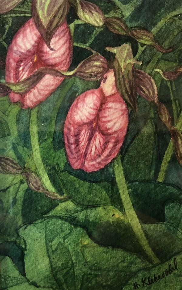 Flora VII by Helen R Klebesadel