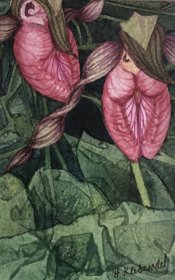 Flora II by Helen R Klebesadel