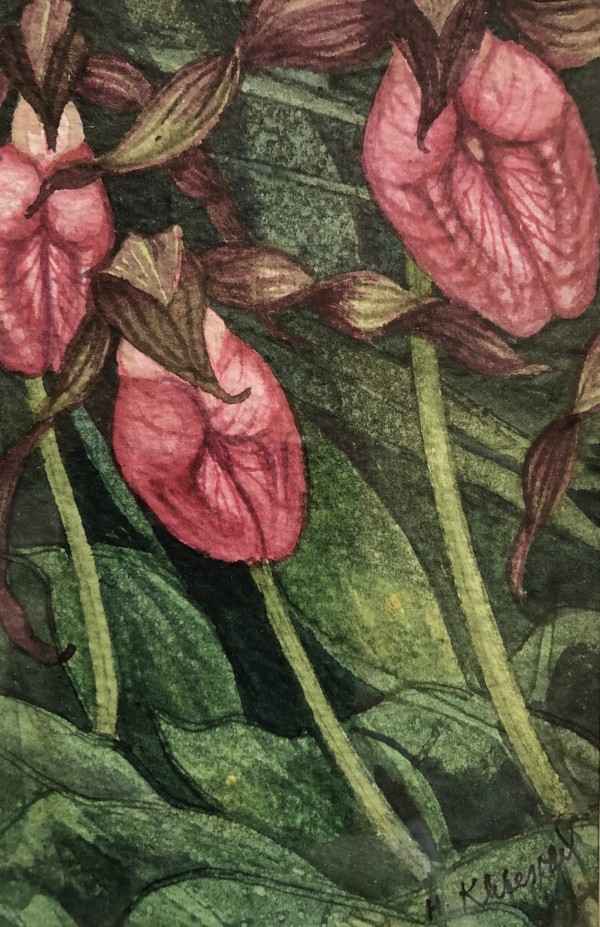 Floral I by Helen R Klebesadel