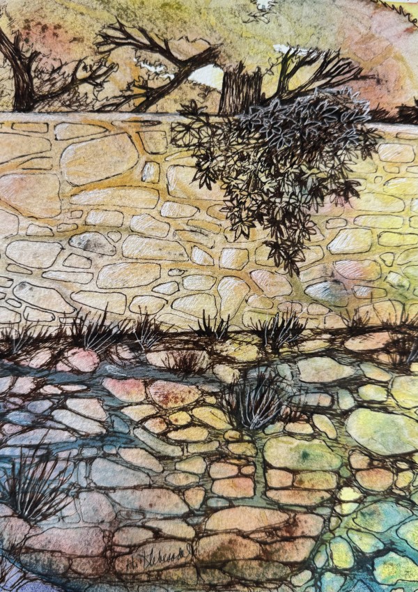 Wall Stones and Ivy- Drawing a Day #216 by Helen R Klebesadel