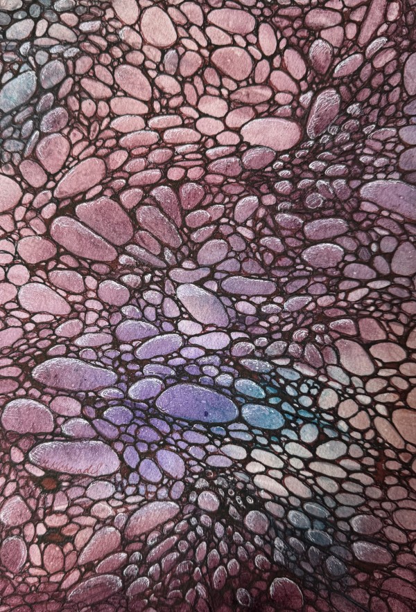 Meditation on Stones II - Drawing a Day #237 by Helen R Klebesadel