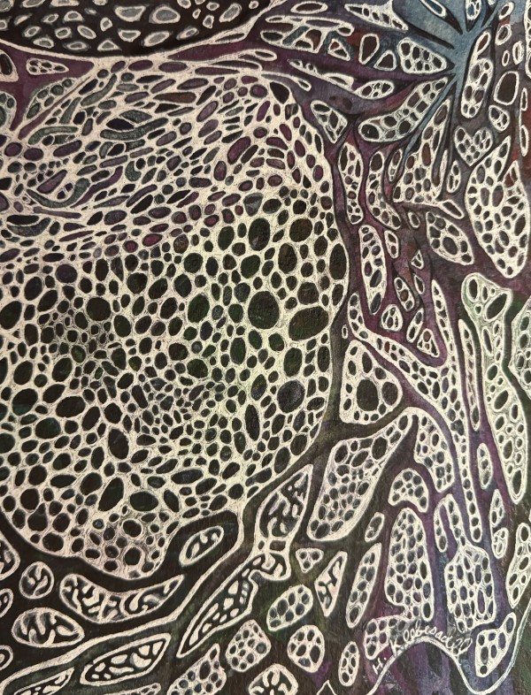 Mycorrhizal Network, - Drawing a Day #252 by Helen R Klebesadel
