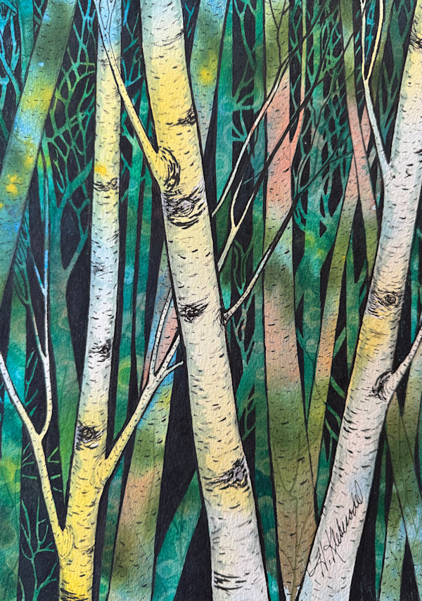 Birch Magic II - Drawing a Day #269 by Helen R Klebesadel